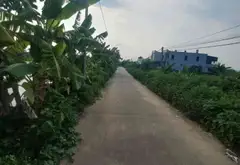 Đất vuông đẹp tại An Thái, An Lão, Hải Phòng, ô tô qua nhà thuận tiện an cư... Bán đất tại An Lão, Hải Phòng 09