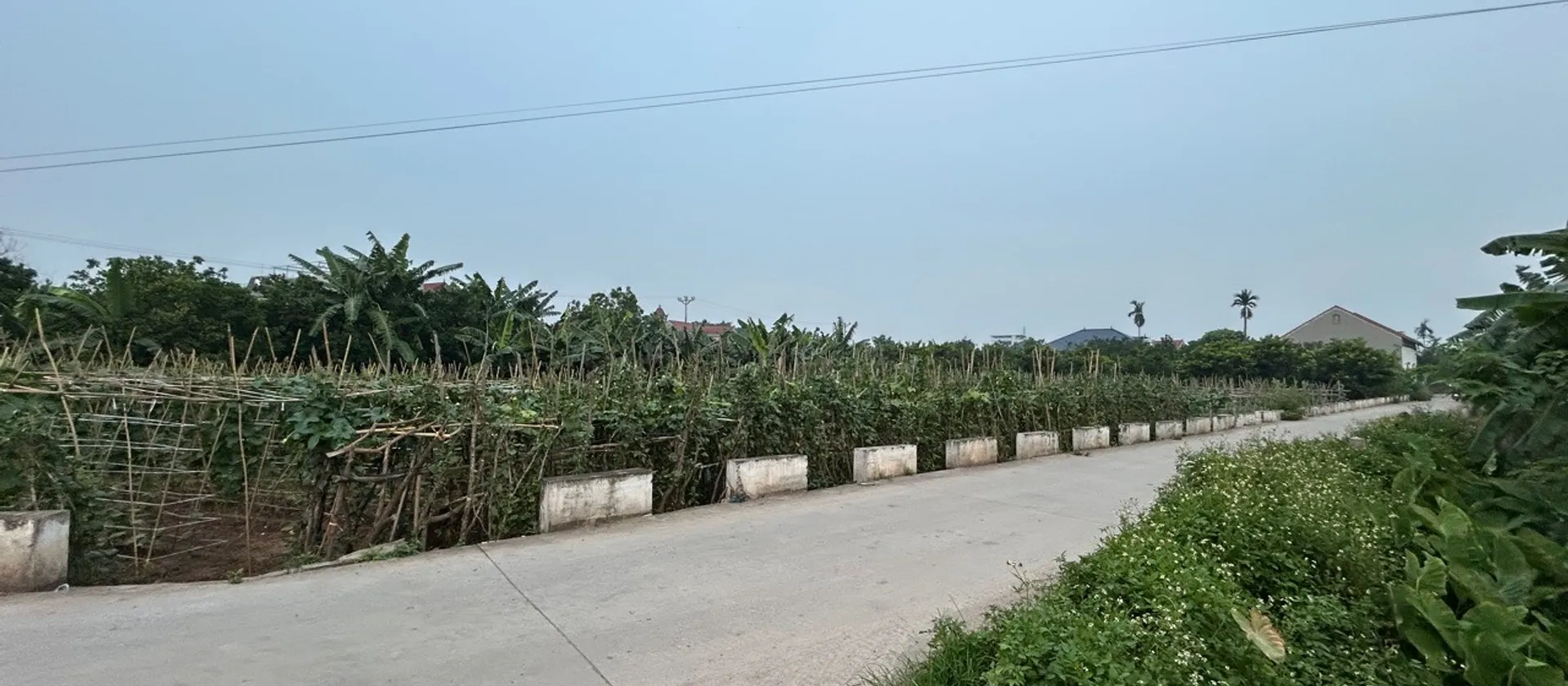 Đất đẹp 2 mặt thoáng ở Hoàn Long, Hưng Yên, giá hợp lý... Bán đất tại Hoàn Long, Hưng Yên 01