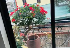 Nhà ngõ ô tô, 5 tầng, kinh doanh cực đỉnh ở Yên Nghĩa... Bán nhà riêng tại An Khánh, Hà Nội 01