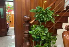 Cơ hội sở hữu nhà riêng 3 căn mới đẹp tại Lê Trọng Tấn, giá giảm 2 tỷ... Bán nhà riêng tại Bình Hưng Hòa, Hồ Chí Minh 06