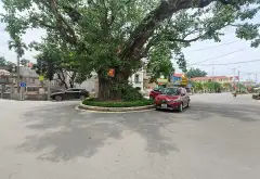 Bán đất phân lô tại Đan Nhiễm, Văn Giang, Hưng Yên – Đường trục chính, ô tô tải tránh... Bán đất tại Văn Giang, Hưng Yên 07
