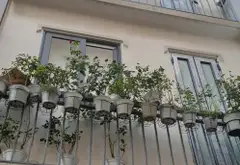 Chủ Nhà Gấp Bán Nhà Cho Thuê 65 Triệu/Tháng Quận 3... Bán nhà riêng tại Nhiêu Lộc, Hồ Chí Minh 01