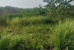 Lô Đất Tinh Tế Tại Phường Dương Kinh - Đón Đầu Phong Cách Sống Đẳng Cấp... Bán đất tại Dương Kinh, Hải Phòng 07