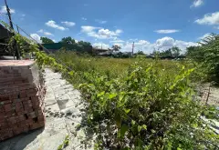 Cơ hội sở hữu đất phân lô vuông vắn ngay trung tâm chợ Gỗ giá tốt... Bán đất tại Phù Khê, Bắc Ninh 11