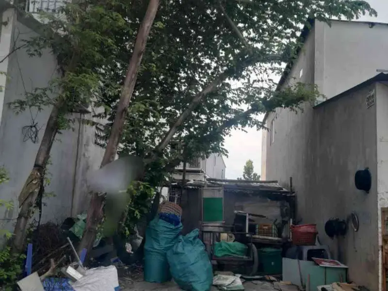 Bán đất hai mặt tiền tại khu dân cư 584 Huỳnh Bá Chánh, Bình Chánh, diện tích 95.5m²... Bán đất tại Tân Nhựt, Hồ Chí Minh 01