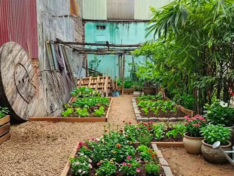 Bán đất 62m² hướng Nam tại Phù Khê, Thành phố Từ Sơn, Bắc Ninh... Bán đất tại Phù Khê, Bắc Ninh 01