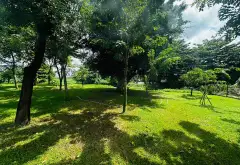 3 Nhà Liền Kề View Sông An Hội Đông, Nhà Đẹp 4 Tầng... Bán nhà riêng tại An Hội Đông, Hồ Chí Minh 10