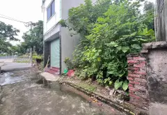 Bán đất mặt đường ô tô vào, gần mặt hồ Bát Khối... Bán đất tại Bát Tràng, Hà Nội 04