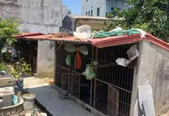 Bán đất 51m2 hướng Đông Nam tại An Đồng, An Dương, Hải Phòng có vị trí thuận tiện... Bán đất tại An Dương, Hải Phòng 02