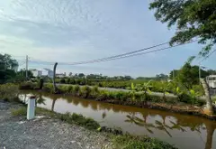Bán đất 3839m2 mặt tiền 25m đường nhựa tại Bình Chánh... Bán đất tại Bình Lợi, Hồ Chí Minh 03