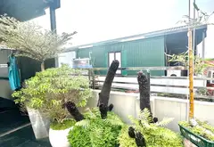 Bán nhà mặt phố tại Hoàng Liệt, quận Hoàng Mai, diện tích 43m², 5 tầng chắc chắn... Bán nhà mặt phố tại Hoàng Liệt, Hà Nội 02