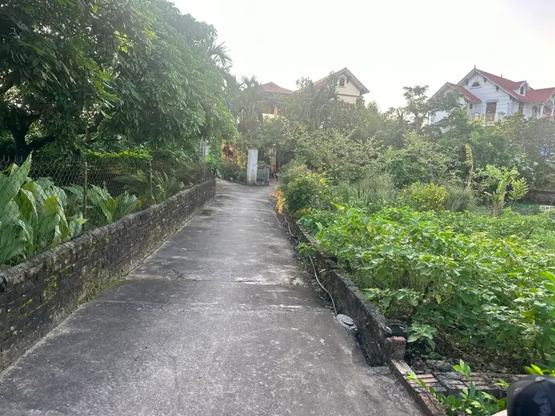 Đất Vàng Liên Nghĩa xã văn giang - Ô Tô Đỗ Cửa, Đầu Tư Ngay... Bán đất tại Tân Hưng, Hưng Yên 01