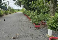 Bán đất thổ cư 5583m2 mặt tiền 35m tại Bình Lợi, Bình Chánh... Bán owner_side tại Bình Lợi, Hồ Chí Minh 02