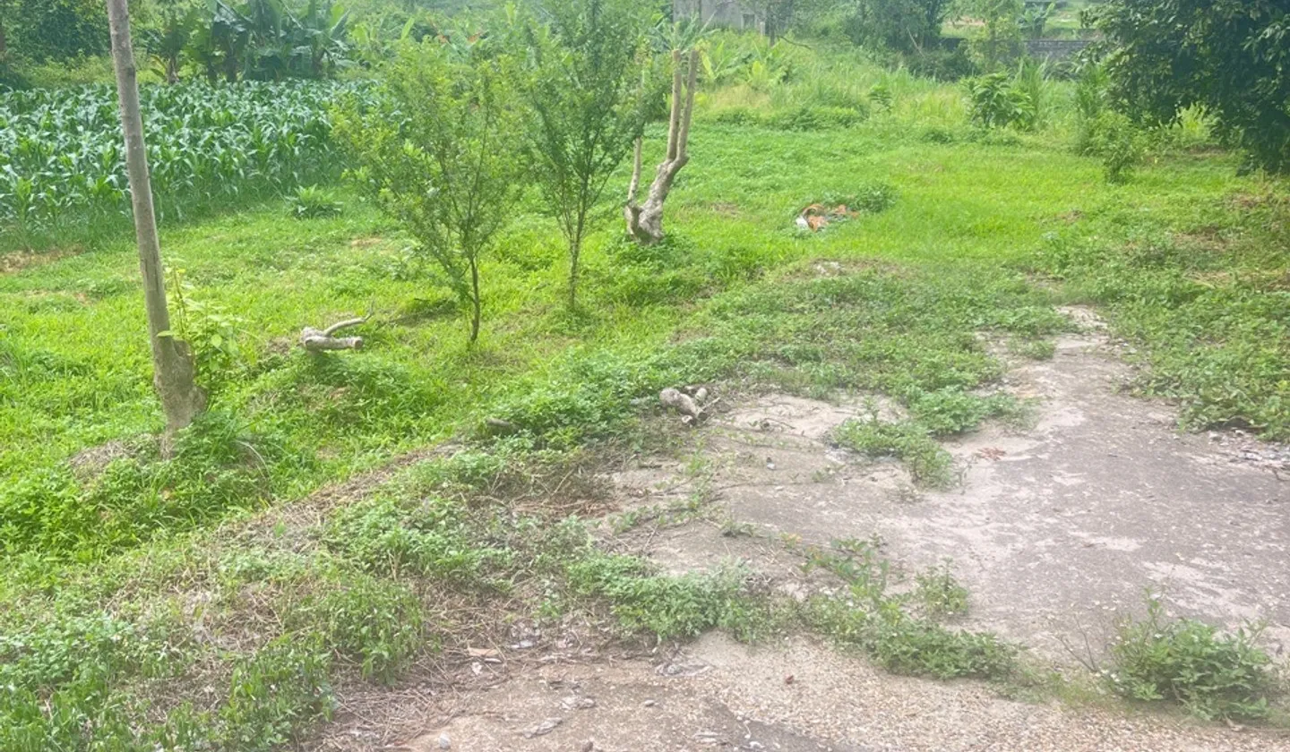 Bán 1830m2 Đất Trung Giã - Sóc Sơn - Vị Trí Gần Khu Nghỉ Dưỡng - Sóc Sơn - Phù Hợp Ở - Hoặc Đầu Tư... Bán đất tại Trung Giã, Hà Nội 01