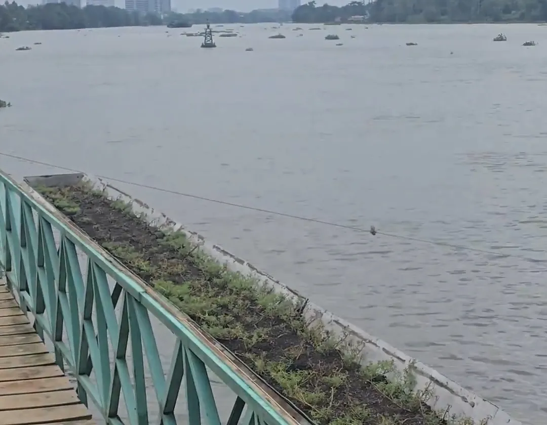 3000M2 ♻️ BIỆT THỰ ĐẲNG CẤP THƯỢNG LƯU | LÁI THIÊU | BẾN DU THUYỀN | SÔNG SÀI GÒN... Bán nhà mặt phố tại Lái Thiêu, Hồ Chí Minh 01