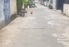 Cơ hội vàng sở hữu đất mặt tiền 6m rộng 129m² tại Sóc Sơn với giá đầu tư hấp dẫn... Bán đất tại Sóc Sơn, Hà Nội 02