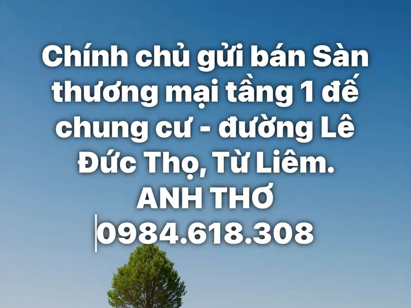 Sàn thương mại Lê Đức Thọ 125m² – vị trí đẹp, đang cho thuê ổn định... Bán nhà mặt phố tại Từ Liêm, Hà Nội 01