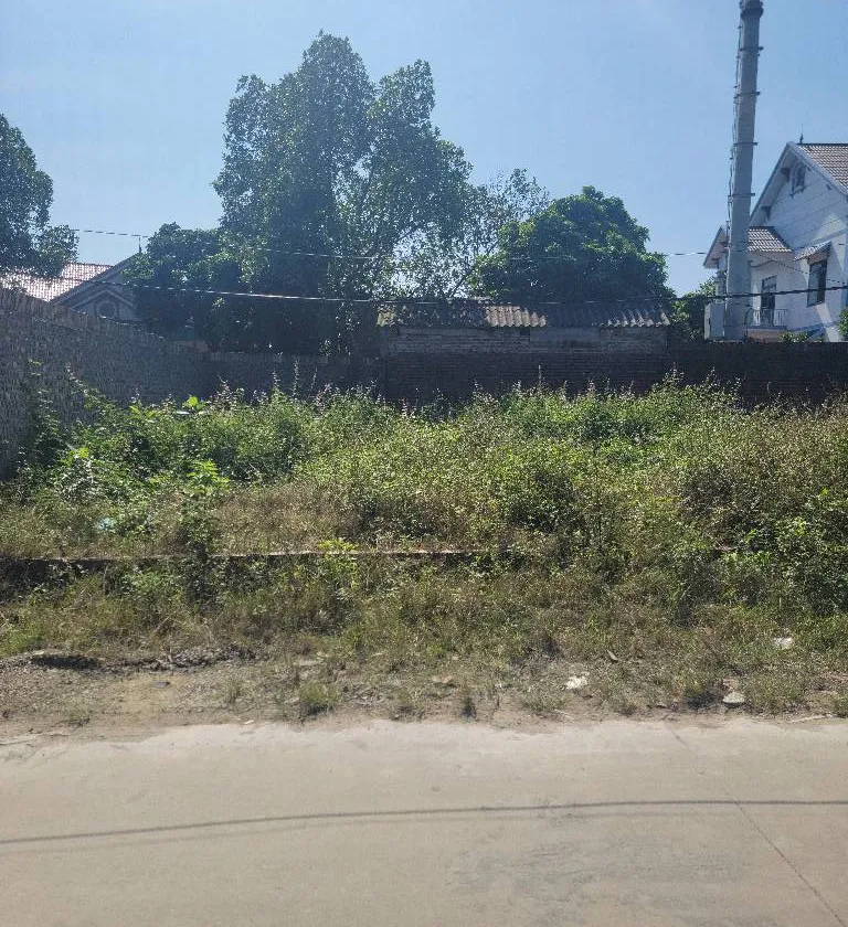 Đất vàng Sóc Sơn, vị trí cực đẹp, đầu tư sinh lời ngay... Bán đất tại Sóc Sơn, Hà Nội 01
