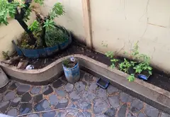 Biệt Thự mặt phố 338m² Tân Bình, TP Hồ Chí Minh - Giá 66 tỷ - Sân vườn rộng, 4 tầng... Bán nhà mặt phố tại Tân Bình, Hồ Chí Minh 09