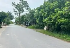 Bán đất xã Triệu Việt Vương, Hưng Yên, diện tích 125m2, pháp lý đầy đủ... Bán đất tại Triệu Việt Vương, Hưng Yên 04