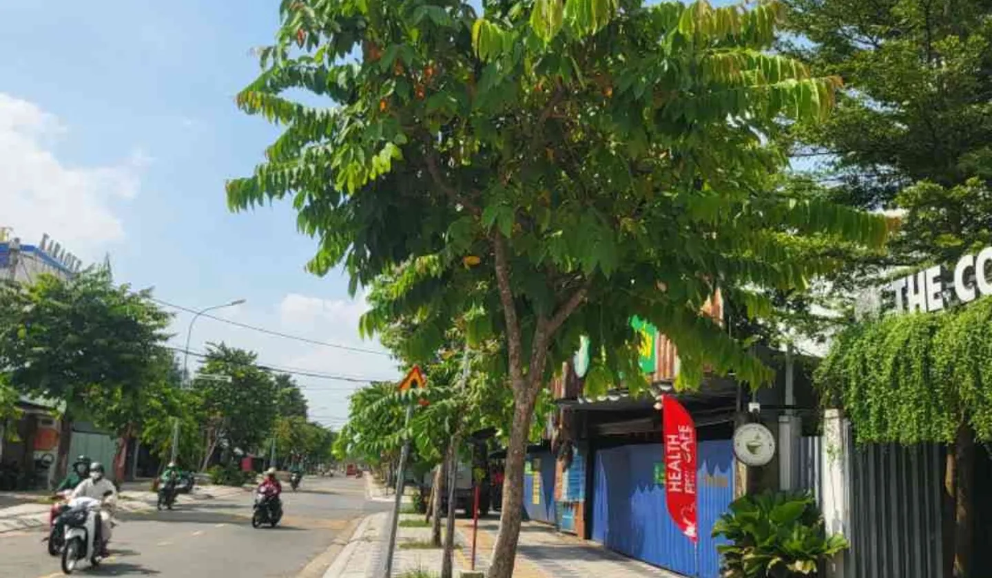 Nhà 250m, Mặt tiền Song Hành, ngay đại học Ngoại Ngữ, Hóc Môn... Bán nhà mặt phố tại Hóc Môn, Hồ Chí Minh 01