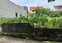 Bán đất thắng lợi văn giang 228m2... Bán đất tại Mễ Sở, Hưng Yên 04