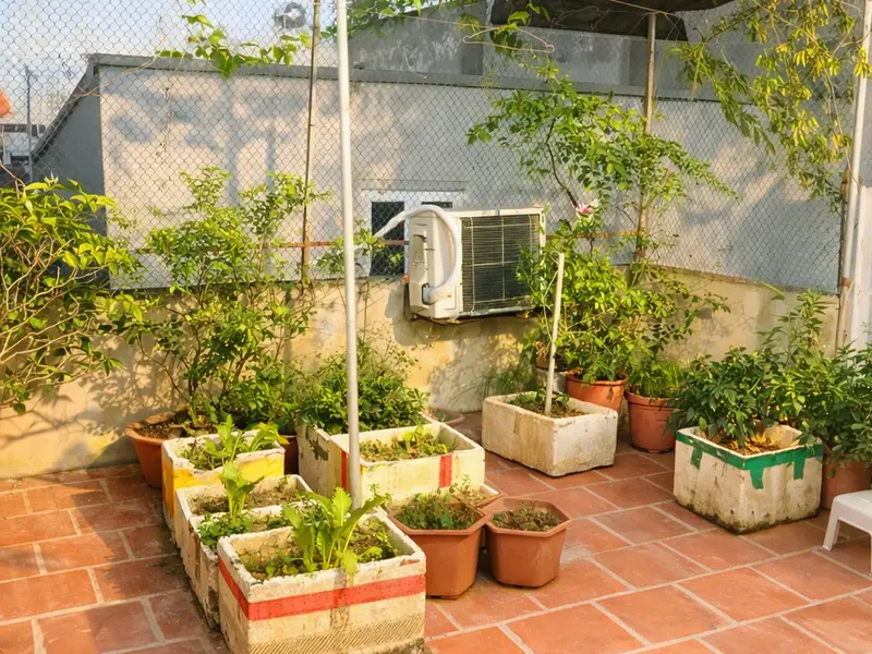 🔥 NHÀ ĐẸP 3 TẦNG PHÚC THỊNH – CHỦ HẠ SỐC – CƠ HỘI TÍCH SẢN HIẾM TRONG TẦM TIỀN DT 60M ❌... Bán nhà riêng tại Phúc Thịnh, Hà Nội 01