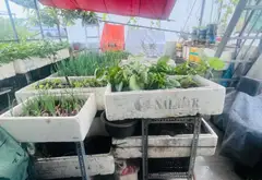 NHÀ ĐẸP 4 TẦNG TÂN PHÚ, MẶT TIỀN RỘNG, 54.8M2, 5PN 5WC, SỔ HỒNG RIÊNG, NHỈNH 7 TỶ... Bán nhà riêng tại Tân Phú, Hồ Chí Minh 09