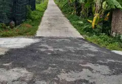 Lô đất rộng 30.000 m² ven bờ sông Đầm Ngà, Hòa Bình phù hợp đầu tư và trang trại... Bán đất tại Hòa Bình, Hải Phòng 02