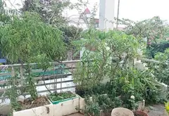 Nhà đẹp 3 tầng hiện đại tại Sóc Sơn, không gian sống lý tưởng... Bán nhà riêng tại Sóc Sơn, Hà Nội 18