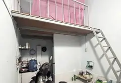 Bán nhà Hồ Học Lãm 75m2 chỉ 4 tỷ nhỏ TL mạnh, sẵn dòng tiền N_AL29... Bán nhà mặt phố tại An Lạc, Hồ Chí Minh 02
