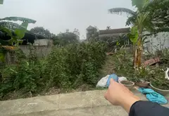 SIÊU PHẨM BÌA LÀNG ĐÔNG LAI XÃ NỘI BÀI HÀ NỘI... Bán đất tại Sóc Sơn, Hà Nội 01