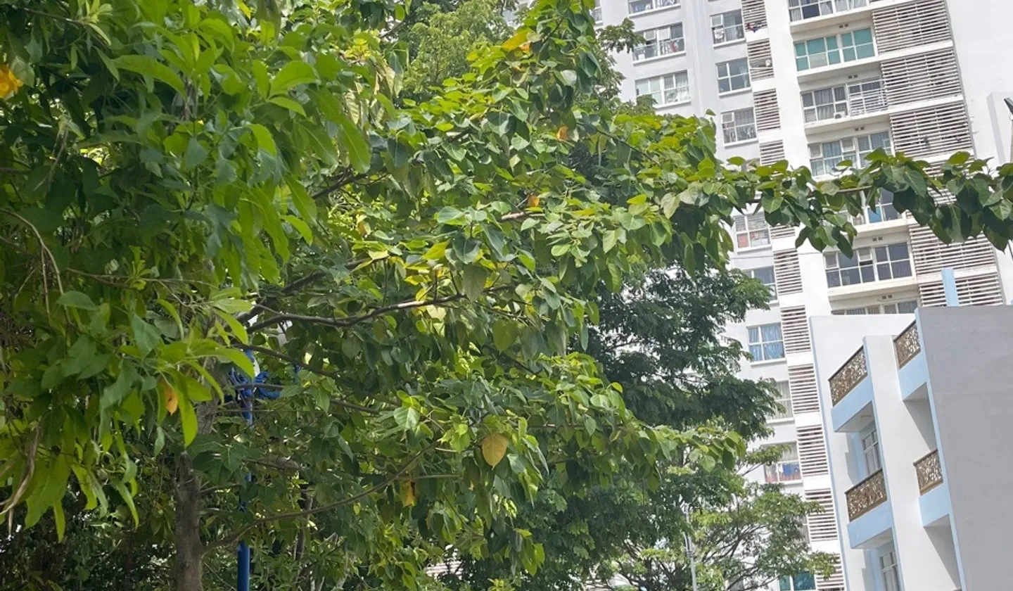Bán căn hộ 2 phòng ngủ diện tích 77.3m2 tại khu chung cư Sài Gòn mới, hỗ trợ vay ngân hàng... Bán căn hộ chung cư tại Nhà Bè, Hồ Chí Minh 01