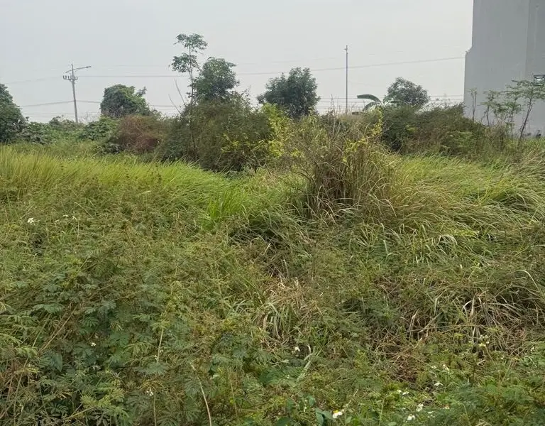 Cơ hội sở hữu đất vàng khu đấu giá phố Kênh, Bắc Ninh... Bán đất tại Ninh Xá, Bắc Ninh 01