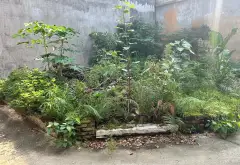 Bán đất lô góc Phù Khê, Từ Sơn, diện tích 61m², pháp lý đầy đủ... Bán đất tại Phù Khê, Bắc Ninh 03