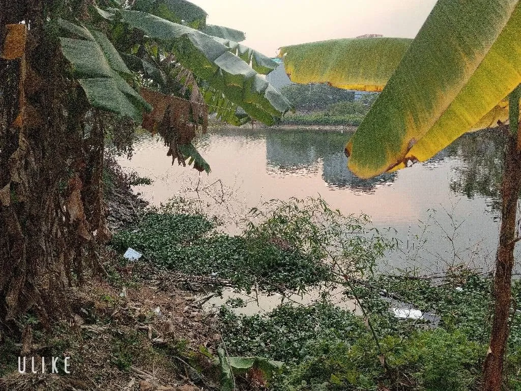 Mảnh đất vàng cạnh nhà máy Z117, vị trí đắc địa, giá hợp lý... Bán đất tại Sóc Sơn, Hà Nội 01