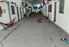 MẶT TIỀN HỘI NGHĨA - 700M² GẦN FULL THỔ CƯ - 1 KIỐT + 2 DÃY TRỌ ĐANG THU NHẬP 22 TRỆU/THÁNG -... Bán đất tại Bình Cơ, Hồ Chí Minh 02
