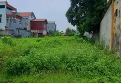 Bán 91 m đất nền tại Chùa Nấu, Nội Bài, Hà Nội... Bán đất tại Nội Bài, Hà Nội 18