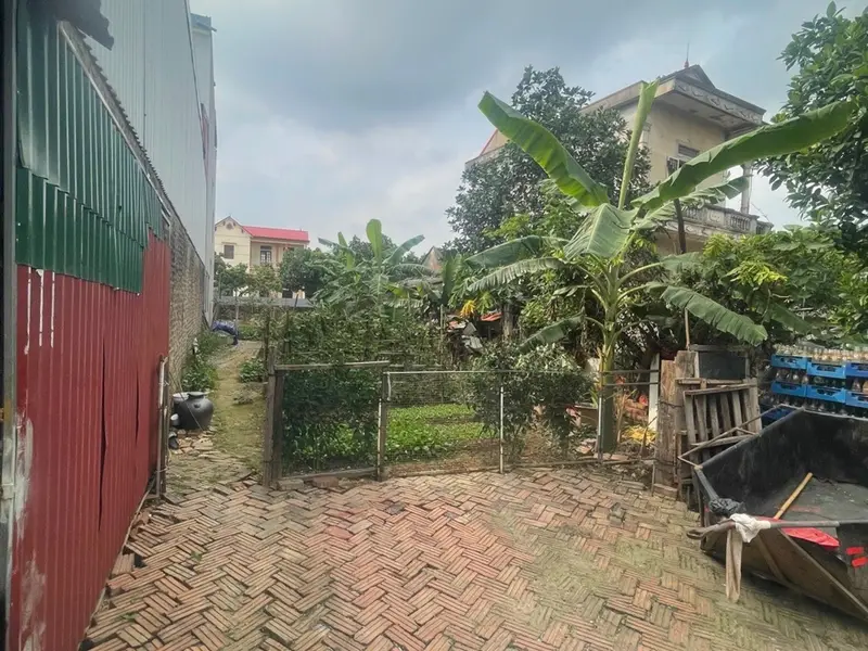 Bán đất 203,8m2 mặt phố kinh doanh ở xã Kim Anh, Hà Nội... Bán đất tại Kim Anh, Hà Nội 01