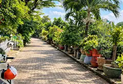 BÁN SHOPHOUSE CÓ SÂN VƯỚN RỘNG ĐẸP - KHÔNG GIAN SỐNG THƠ MỘNG VÀ XANH MÁT GIỮA KHU NAM LONG... Bán Shophouse tại Tân Thuận, Hồ Chí Minh 17
