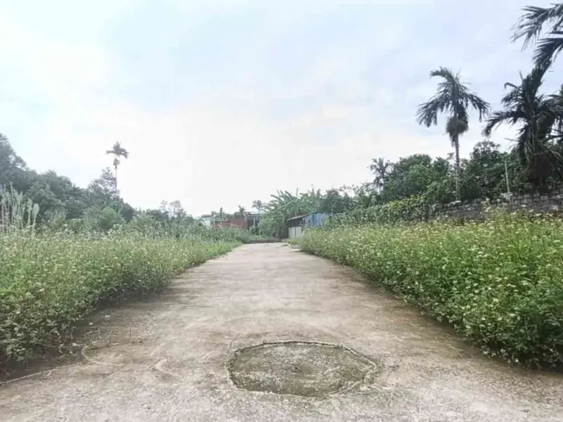 Bán đất thôn 5 Kỳ Sơn, xã Việt Khê, Thủy Nguyên, mặt tiền 4.6m, ô tô vào đất... Bán đất tại Lê Ích Mộc, Hải Phòng 01