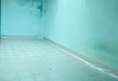 Nhà 1 tầng hẻm 4m gần tỉnh lộ 10, Bình Tân, giá 2.99 tỷ... Bán nhà riêng tại Bình Trị Đông, Hồ Chí Minh 05