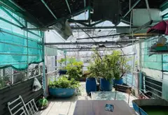 Bán nhà riêng 4 tầng diện tích 55m² tại phường 8, quận Tân Bình phù hợp kinh doanh... Bán nhà riêng tại Tân Hòa, Hồ Chí Minh 16