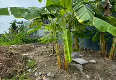 Lô Đất Vọng Hải Hiếm Có - Ngõ Ô Tô Đỗ Cửa, View Hồ Thoáng Mát... Bán đất tại Hưng Đạo, Hải Phòng 07