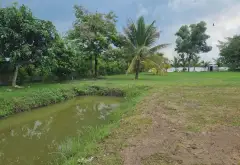 🌟 Đất Vàng Ven Sông - Cơ Hội Đầu Tư Hiếm Có! 🌊... Bán đất tại Long Phước, Hồ Chí Minh 08