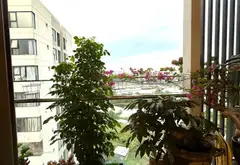 Bán căn hộ 3 phòng ngủ tại Bình Chánh, Mizuki Park, giá 6.8 tỷ... Bán căn hộ chung cư tại Bình Hưng, Hồ Chí Minh 19