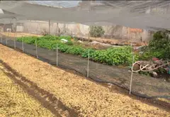 Đất Mặt Tiền Kênh Bà Điểm TPHCM Diện Tích Lớn Đẳng Cấp... Bán đất tại Bà Điểm, Hồ Chí Minh 03