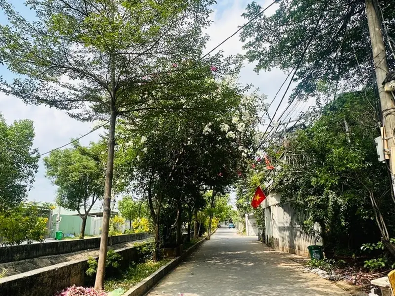 Cơ Hội Vàng: Đất Hẻm Xe Hơi - Giá Chỉ 4.45 Tỷ, Hẹp Hơn Còn Thương Lượng!... Bán đất tại An Phú Đông, Hồ Chí Minh 01