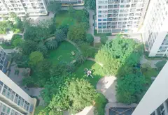 Cơ Hội Vàng Sở Hữu Căn Hộ View Công Viên Tại Phường Long Bình... Bán căn hộ chung cư tại Long Bình, Hồ Chí Minh 11