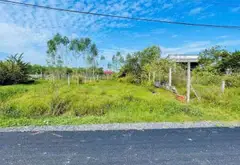 Đất mặt tiền rộng 6m, vị trí vàng tại Thái Mỹ, Củ Chi... Bán đất tại Thái Mỹ, Hồ Chí Minh 02